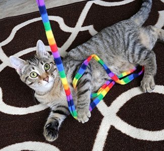 Cat Dancer Products Rainbow Cat Charmer