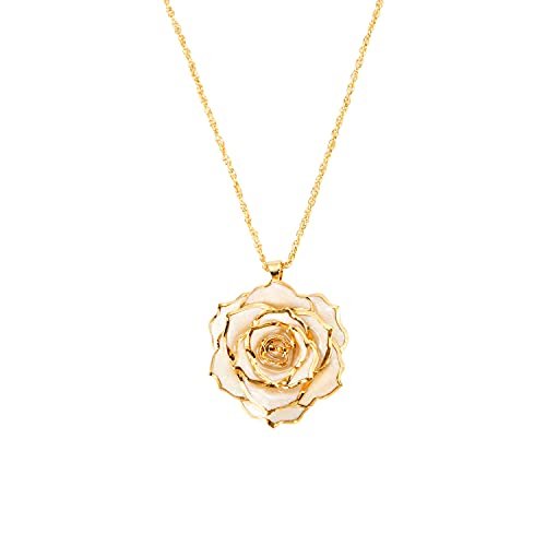 Buy Simply Gorgeous 18K Gold Oval Rose Pendant Necklace With Adjustable  Zinc Alloy Chain at Amazon.in