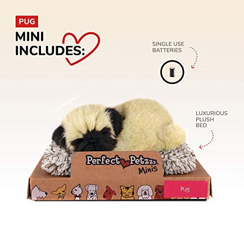 Precious best sale petzzz pug