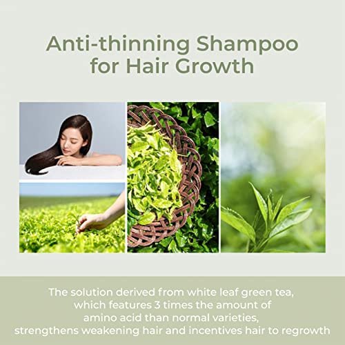 AMOS PROFESSIONAL The Green Tea Scalp Essential Tonic  oz (80ml) | Anti-Hair  Loss Intensive Nourishment Treatment | Korean Hair Salon Brand - Shop  Imported Products from USA to India Online - iBhejo
