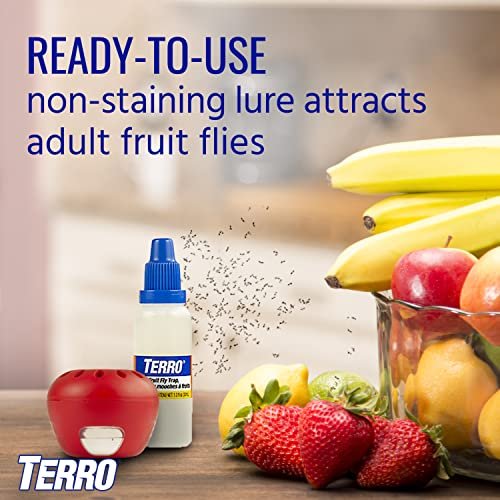 TERRO T2512 Ready-to-Use Indoor Fruit Fly Killer and Trap with Built in  Window - 12 Traps + 540 day Lure Supply - Imported Products from USA -  iBhejo
