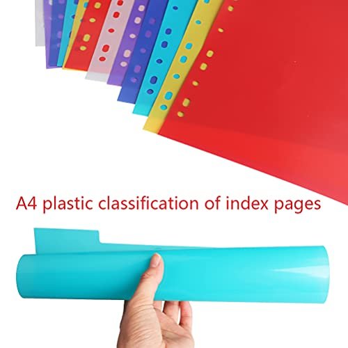 1InTheOffice Dividers for 3 Ring Binder, Binder Dividers with Tabs, 3 Ring  Binder Dividers with Tabs, 8 Tab Dividers, Multicolor, 24/Pack : Amazon.in:  Office Products