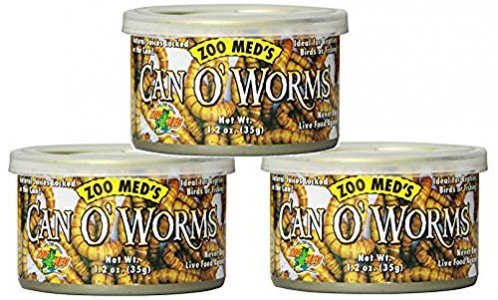 Zoo Med Laboratories Can O Worms, 1.2oz Cans (3 Pack)