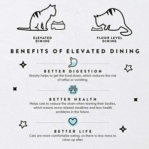 CatGuru Food Table for Cat Bowl, Non Slip Pet Feeding Station for Cat Food Bowls, Raised Stand for Food and Water Cat Bowls, Elevated Cat Feeder, Str