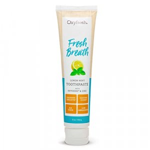 Premium Oxyfresh Lemon Mint Fresh Breath Toothpaste  Low Abrasion Toothpaste for Bad Breath - SLS & Fluoride Free Toothpaste  Anti Plaque & Tar