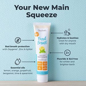 Premium Oxyfresh Lemon Mint Fresh Breath Toothpaste  Low Abrasion Toothpaste for Bad Breath - SLS & Fluoride Free Toothpaste  Anti Plaque & Tar