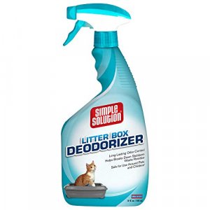 Litter box 2024 odor solutions