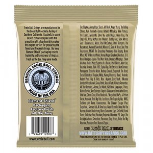 Ernie Ball Earthwood Extra Light 80/20 Bronze Acoustic Guitar Strings, 10-50 Gauge (P02006)