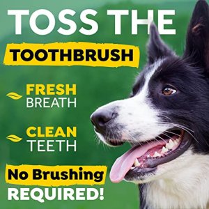 TropiClean Fresh Breath Original Dog Dental Water Additive - Dog Breath Freshener For Clean Teeth, 33.8 Ounce