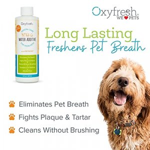 Oxyfresh Premium Pet Dental Care Solution Pet Water Additive: Best Way to Eliminate Bad Dog Breath and Cat Bad Breath - Fights Tartar & Plaque - So E