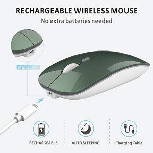Q5 Slim Rechargeable Wireless Mouse, 2.4G Portable Optical Silent Ultra Thin Wireless Computer Mouse with USB Receiver and Type C Adapter, Compatible