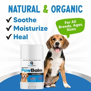 Lick Safe Dog Paw Balm 2 Oz - Dog Paw Protector - Paw Soother for Dogs - Vet Recommended Dog Paw Protection from Heat, Sand, Snow - Paw Wax for Dogs 