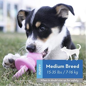 KONG - Puppy Binkie - Soft Teething Rubber, Treat Dispensing Dog Toy - for Medium Puppies - Blue