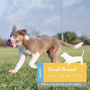 KONG - Puppy Teething Stick - Teeth Cleaning Dog Chew Toy (Assorted Colors) - for Small Puppies