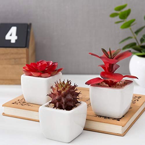 Mini Assorted Artificial Cactus Plants, Set of 4 – MyGift