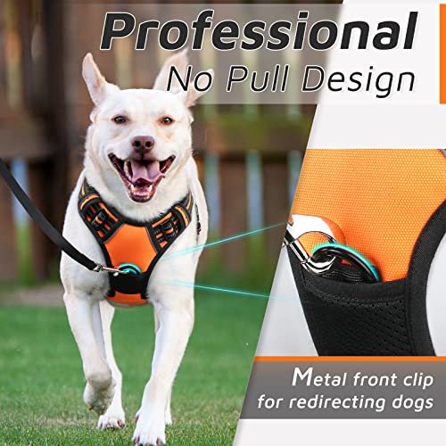 Padded front cheap walking harness