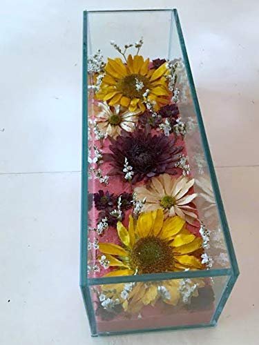 Activa Flower Drying Art Silica Gel