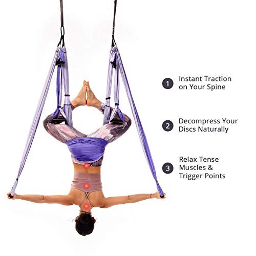 Omni Yoga Swing Pose Poster - 101 Aerial Yoga Poses | Yoga Swings, Trapeze  & Stands Since 2001