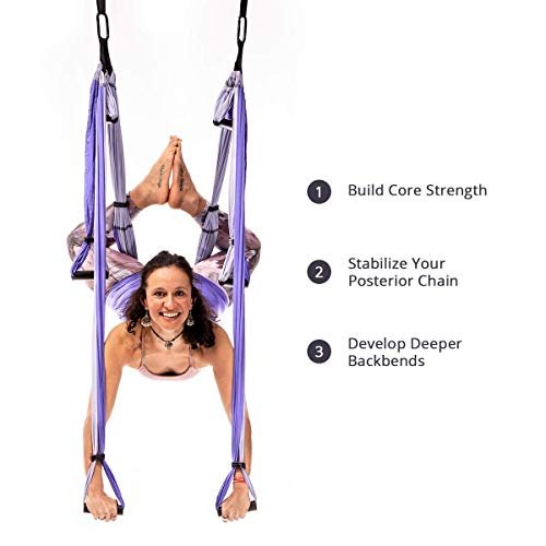 Yogabody Yoga Trapeze Pro Yoga Inversion Swing With Free Video Series And  Pose Chart, Purple - Imported Products from USA - iBhejo
