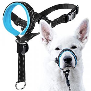 GoodBoy Dog Head Halter with Safety Strap - Stops Heavy Pulling On The Leash - Padded Headcollar for Small Medium and Large Dog Sizes - Head Collar T