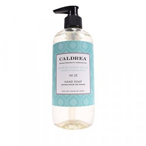 Caldrea Hand Wash Soap Aloe Vera Gel Olive Oil And Essential Oils To  Cleanse And Condition Sweet Pea Scent 10.8 Oz 10.8 Fl Oz (Pack of 1) Liquid  hand soap
