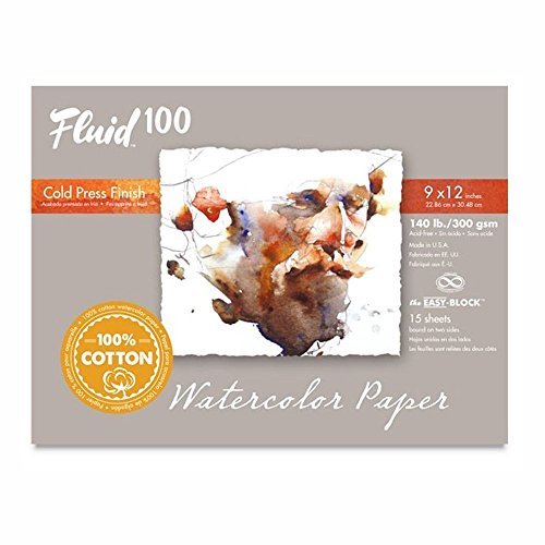 Fluid 100 Artist Watercolor Block, 140 lb (300 GSM) 100% Cotton Cold Press  Pad for Watercolor Painting and Wet Media w/ Easy Block Binding, 9 x 12 in  - Imported Products from USA - iBhejo