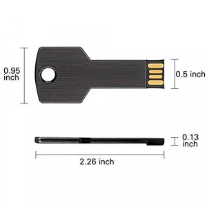 JUANWE 5 Pack 4GB USB Flash Drive USB 2.0 Metal Thumb Drive with Key Shape Design Jump Drive Waterproof Memory Stick Portable USB Drive-Black/Blue/Pi