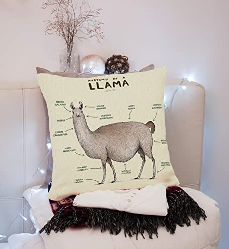 Llama best sale throw pillow