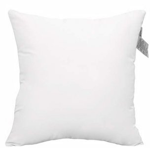 Utopia Bedding Throw Pillows Insert (Pack of 2, White) - 12 x 20