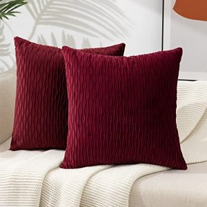 ETASOP Set of 2 Couch Pillows with Inserts 18x18, Spring Decorative Pillow  Covers Velvet Throw Pillows with Inserts Included Farmhouse Cushions