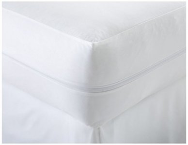 ienjoy Home Ultra Soft Paisley Patterned 4 Piece Sheet Set Home Collection Premium Bed Bug and Waterproof Zippered Mattress Protector, California Kin