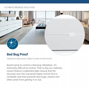Bargoose Home Textiles | Zippered Mattress or Box Spring Cover | Bed Bug, Dust Mite Proof | Lab Tested & Certified | Waterproof & Flame Retardant (Tw