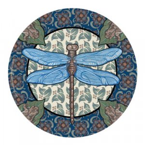 Thirstystone Sandstone Coaster Set, All Natural Stone with Non-Slip Cork Backing, Drink Absorbent & Protects Table - Apple Dragonfly (Set of 4),Multi