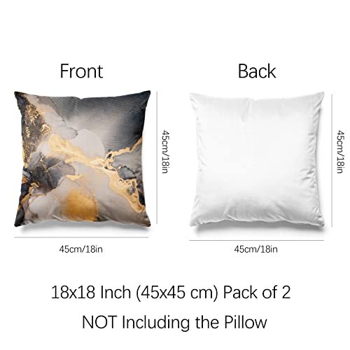  ETASOP Throw Pillows with Inserts Included 18x18, 2