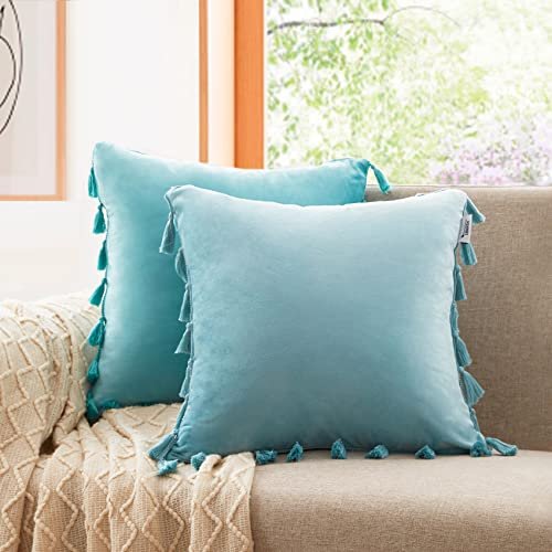 Western Home WH Pack of 2 Velvet Throw Pillows Decorative Throw Pillow Covers with Tassels,Soft Fringe Boho Pillowcase, Accent Cushion Case for