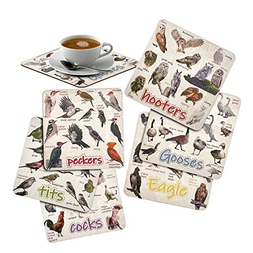 Bird Pun Coasters, Funny Coasters for Drinks, Coaster Set of 6Pcs Table Top  Protection for Bar Housewarming Gift Coffee