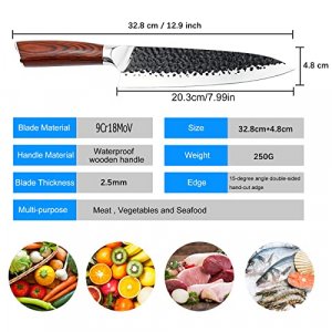 8 inch Japanese Chef Knife,Pro Ultra Sharp Kitchen Knife High Carbon Steel Chef's Knives Durable Sharp Cooking Knife For Meat, Vegetables, fruits and