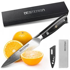 imarku Japanese Chef Knife - Pro Kitchen Knife 8 Inch Chef's Knives High  Carbon Stainless Steel Sharp Paring Knife with Ergonomic Handle, Useful  Kitc - Imported Products from USA - iBhejo