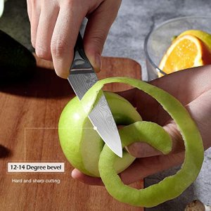 BESTERISA Paring Knife -4 Inch Fruit Knife with Cover-High Carbon German Stainless Steel EN1.4116 Ultra Sharp Vegetable and Peeling Knif with Gift Bo