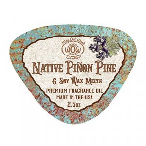 Way Out West Candles - Scented Wax Melts - Highly Fragrant Air Freshener - 4 Pack Set of 6 Melt Cubes (4, Native Pion Pine)