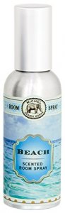 Michel Design Works Home Fragrance Spray, Beach