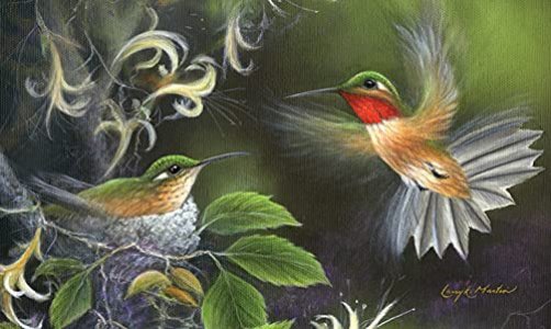 Toland Home Garden 800036 Rufous Hummingbird Spring Door Mat 18x30 Inch Summer Outdoor Doormat for Entryway Indoor Entrance