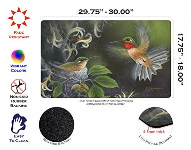 Toland Home Garden 800036 Rufous Hummingbird Spring Door Mat 18x30 Inch Summer Outdoor Doormat for Entryway Indoor Entrance