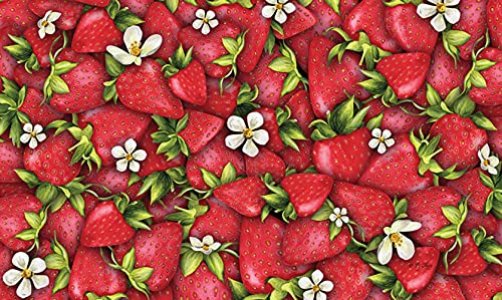 Toland Home Garden 800018 Strawberry Collage Summer Door Mat 18x30 Inch Flower Outdoor Doormat for Entryway Indoor Entrance