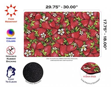 Toland Home Garden 800018 Strawberry Collage Summer Door Mat 18x30 Inch Flower Outdoor Doormat for Entryway Indoor Entrance