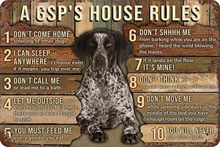 German Shorthaired Dog Poster Metal Tin Sign A Gsp's House Rules Aluminum Metal Home Poster Plaque Home Club Store Bar Cafe Farm Metal Wall 5.5x8inch
