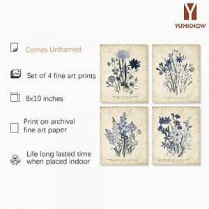 Watercolor Vintage Flower Poster Print - Rustic Modern French Country Cottagecore Wall Art - Primitive Blue Magnolia Leaves Pictures Gallery Gift - F