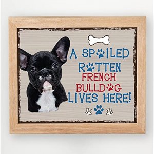 A Spoiled Rotten French Bulldog Lives Here Made in the USA 