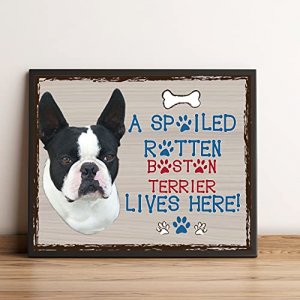 A Spoiled Rotten French Bulldog Lives Here Made in the USA 