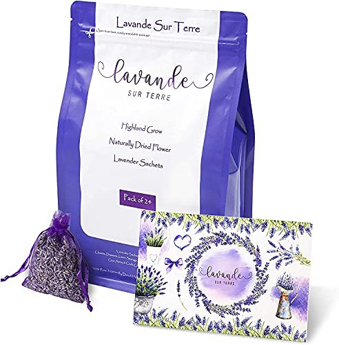 Lavande Sur Terre French Lavender Sachets for Drawers and Closets Fresh  Scents, Set of 24, Home Fragrance Sachet for Wardrobes Closets, Purple